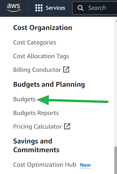 Budgets in navigation menu